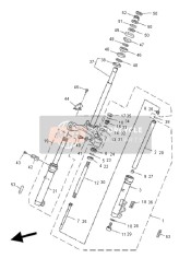 Forcella anteriore